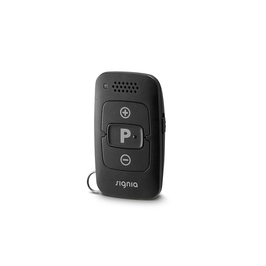 Моушн Эс-Пи 1 пи-икс, Motion SP 1 px